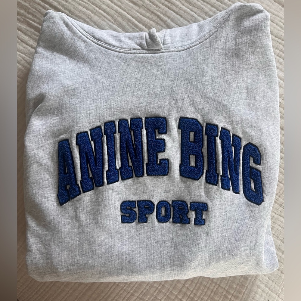 Anine Bing Sport Light Gray Tyler Hoodie - Picture 2 of 9